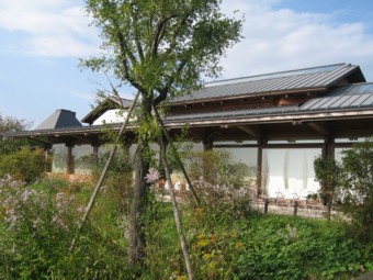 ����ނ炩�����G�{�̋u���p��