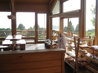 �e�B�[���[��