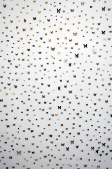 �n�Ӊp�i�iEiji WATANABE�j ���Ր} Butterfly's-eye View 2007 �P���W�^�L�M�������[�ł̓W���iat Kenji Taki Gallery�j