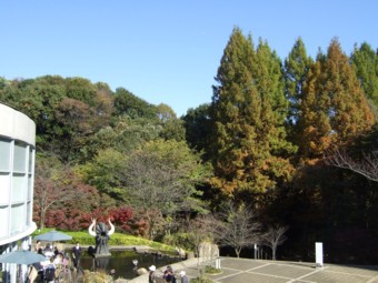 ���s���{���Y���p��