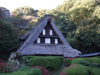 ���{���Ɖ�