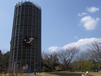 ���� �����̐X���p��
