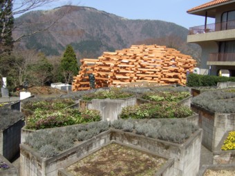 �\��̗�:�����ƌo���̃C�M���X���p�@��ꕗ�i
