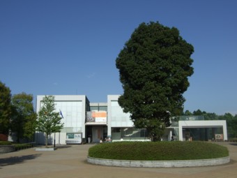 ��錧���|���p��