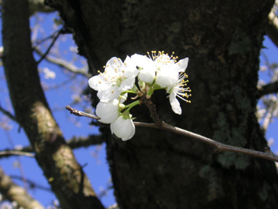 Takapuna Beach�ʐ^