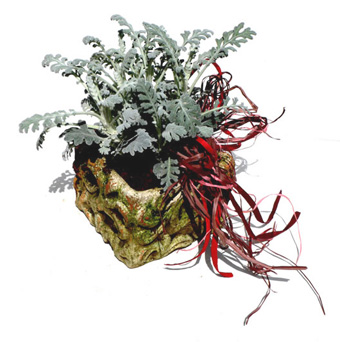 �����C���[�W