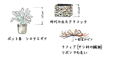 ����g������