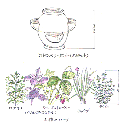 ����g������