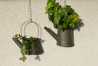 �����C���[�W