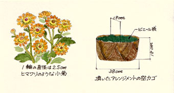 ����g������