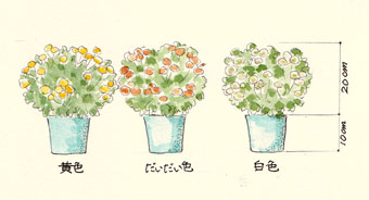 ����g������