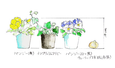 ����g������