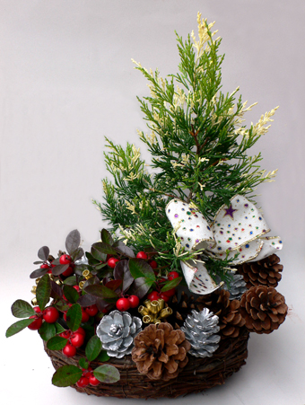 �����C���[�W