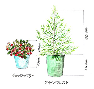 ����g������