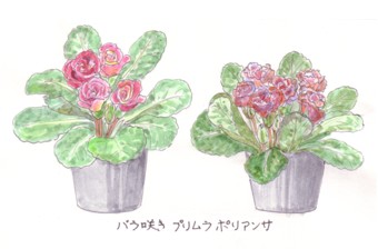 ����g������