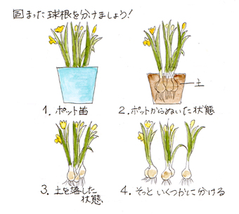 ����g������