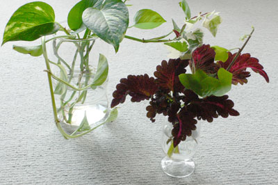 �����C���[�W