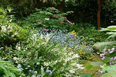 ���̍D���Ȏ�d��