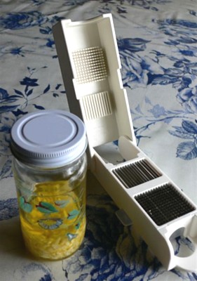 ���̍D���Ȏ�d��