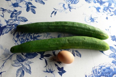 ���̍D���Ȏ�d��