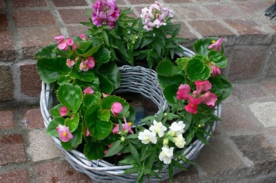 ���̍D���Ȏ�d��