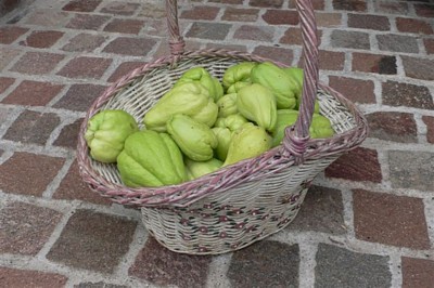 ���̍D���Ȏ�d��