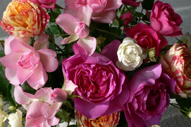 ���̍D���Ȏ�d��