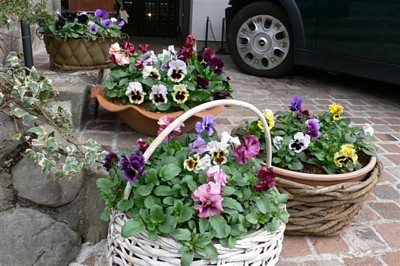 ���̍D���Ȏ�d��