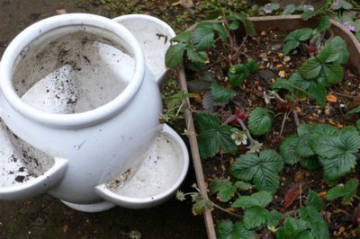 ���̍D���Ȏ�d��