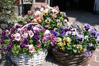 ���̍D���Ȏ�d��