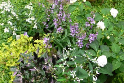 ���̍D���Ȏ�d��