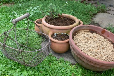 ���̍D���Ȏ�d��