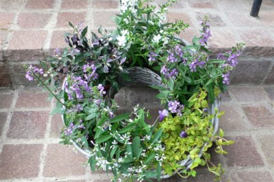 ���̍D���Ȏ�d��