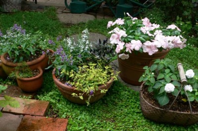 ���̍D���Ȏ�d��