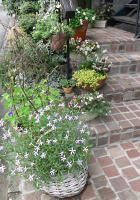 ���̍D���Ȏ�d��