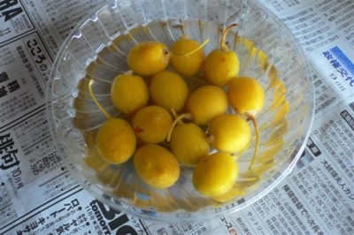 ���̍D���Ȏ�d��