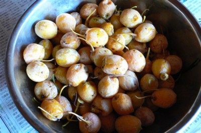 ���̍D���Ȏ�d��