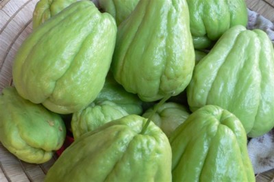 ���̍D���Ȏ�d��