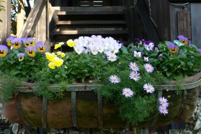 ���̍D���Ȏ�d��