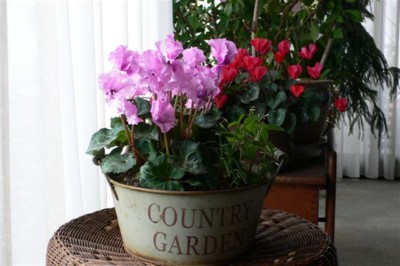 ���̍D���Ȏ�d��