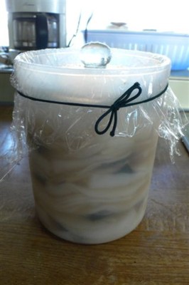 ���̍D���Ȏ�d��