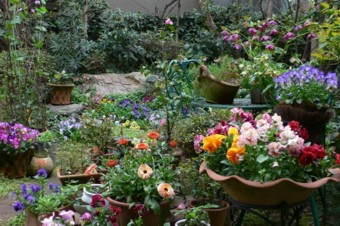 ���̍D���Ȏ�d��