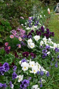 ���̍D���Ȏ�d��