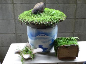 ���̍D���Ȏ�d��