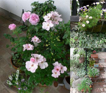 ���̍D���Ȏ�d��