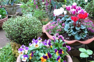 ���̍D���Ȏ�d��