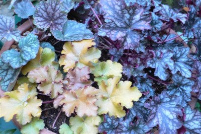 ���̍D���Ȏ�d��