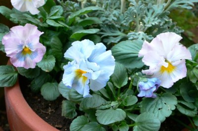 ���̍D���Ȏ�d��