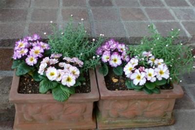 ���̍D���Ȏ�d��