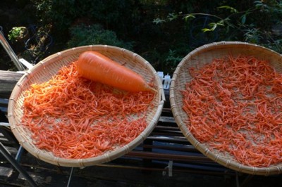 ���̍D���Ȏ�d��